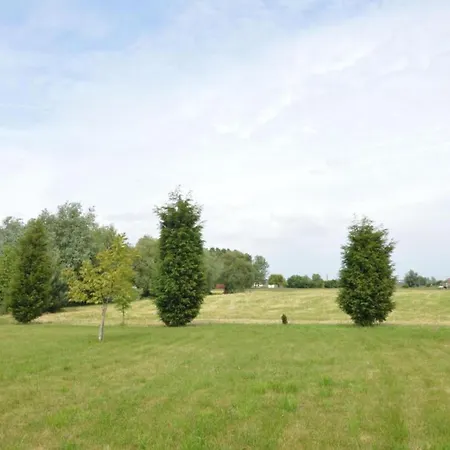 Modern Near Forest *